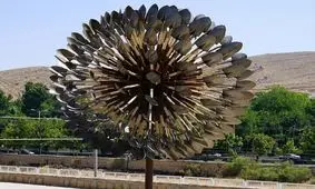 درخت آهنین بیل در شیراز هم از تخریب در امان نماند