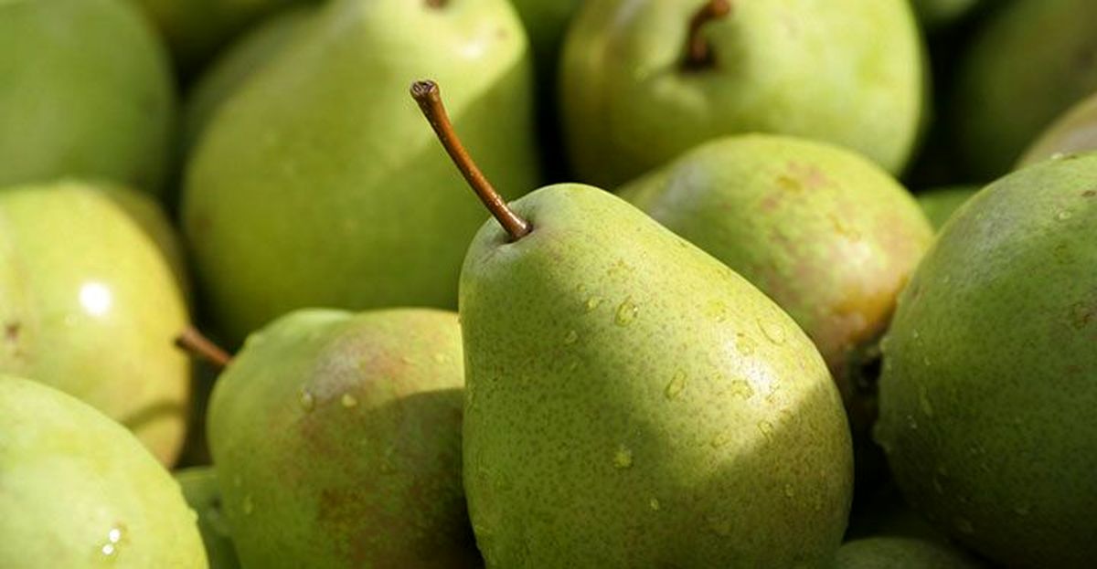 میوههایی که مانع از چاقی میشوند