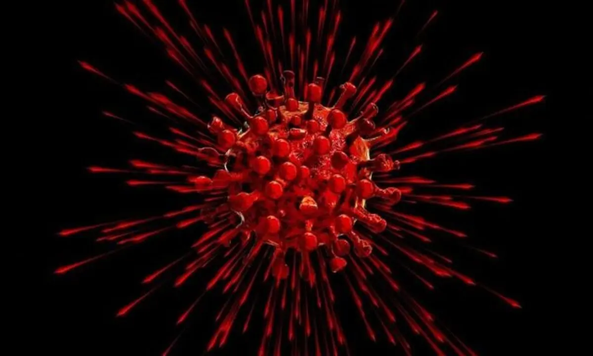 پاسخ به ۶ سوال مهم درباره ویروس جهش یافته کرونا