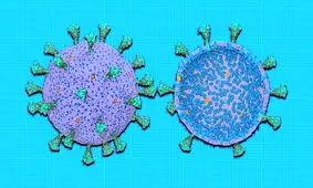 ابداع نخستین مدل محاسباتی کاربردی برای بررسی کروناویروس