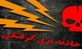 مرگ سحرگاهی در پست برق