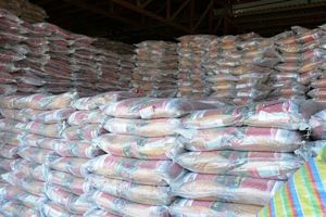 کشف ۱۰ تن برنج دپو شده از یک انبار غیر مجازدر تبریز