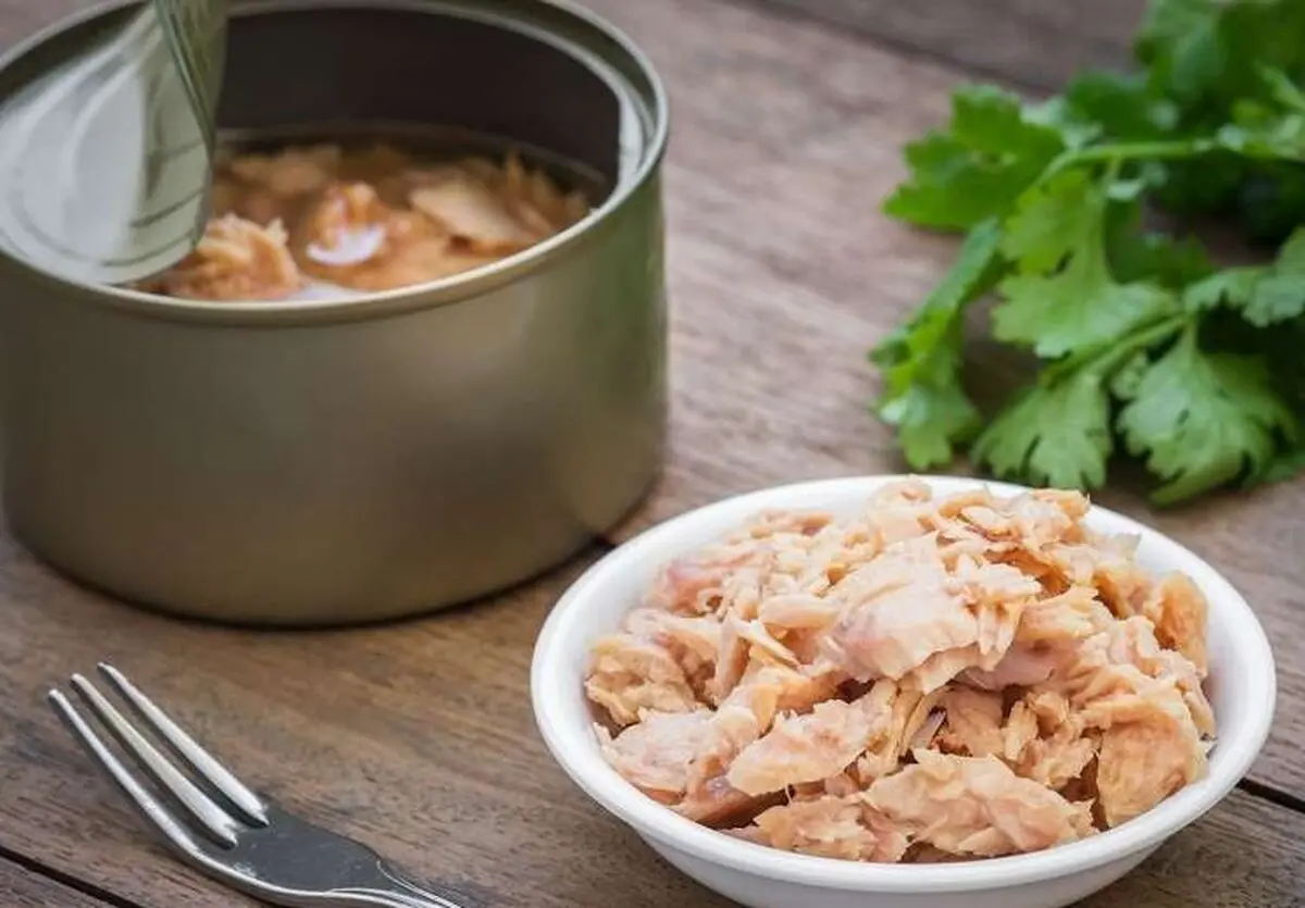 مزایا و معایب مصرف کنسرو ماهی تن