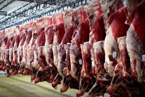 ۶۳ هزار تن گوشت سفید و قرمز در استان قزوین تولید شد