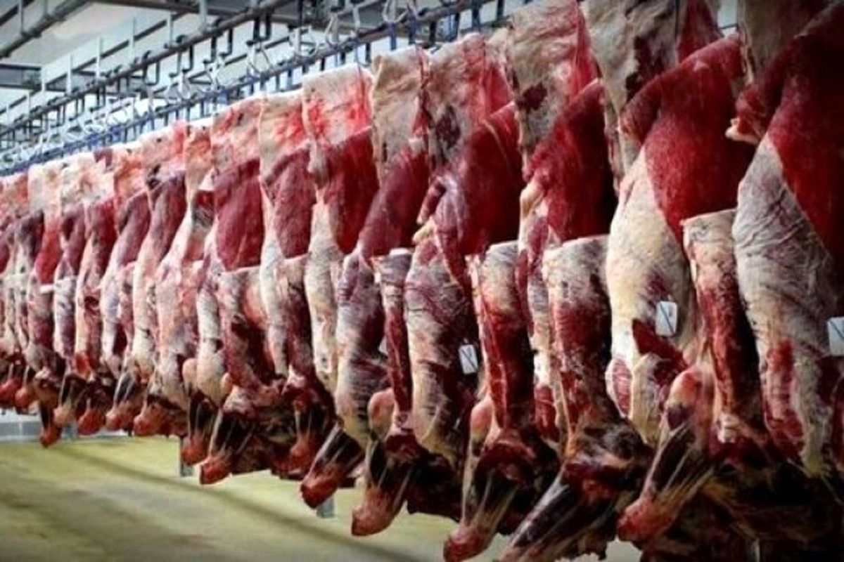 ۶۳ هزار تن گوشت سفید و قرمز در استان قزوین تولید شد