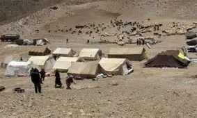 عشایر نقش مؤثری در اقتصاد استان خراسان جنوبی دارند