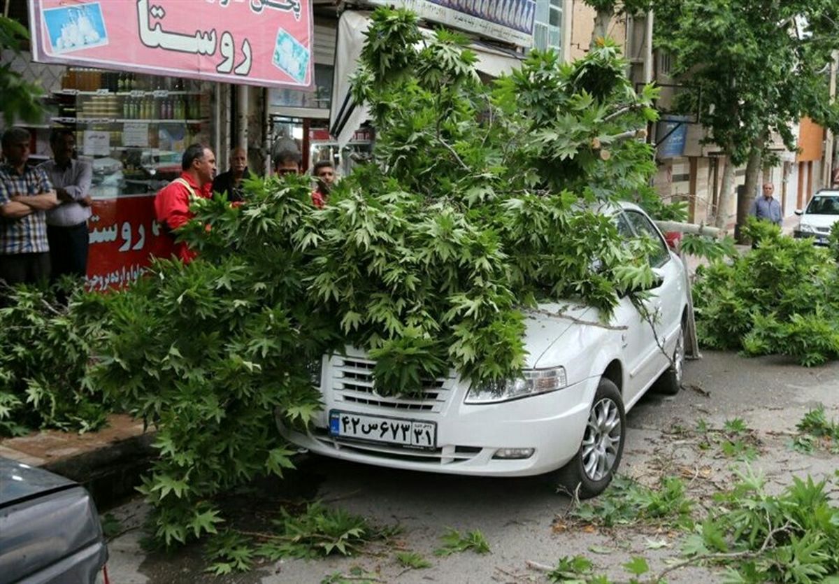 مدیرکل بحران استان گلستان: هنوز خسارتی از تندباد گزارش نشده است