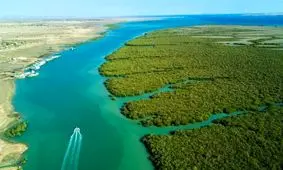 پروژه احداث جاده برای سایت پرورش میگوی دیر متوقف شد