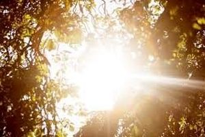 رابطه بین قرار گرفتن در آفتاب و آسیب دیدن کلیه چیست؟