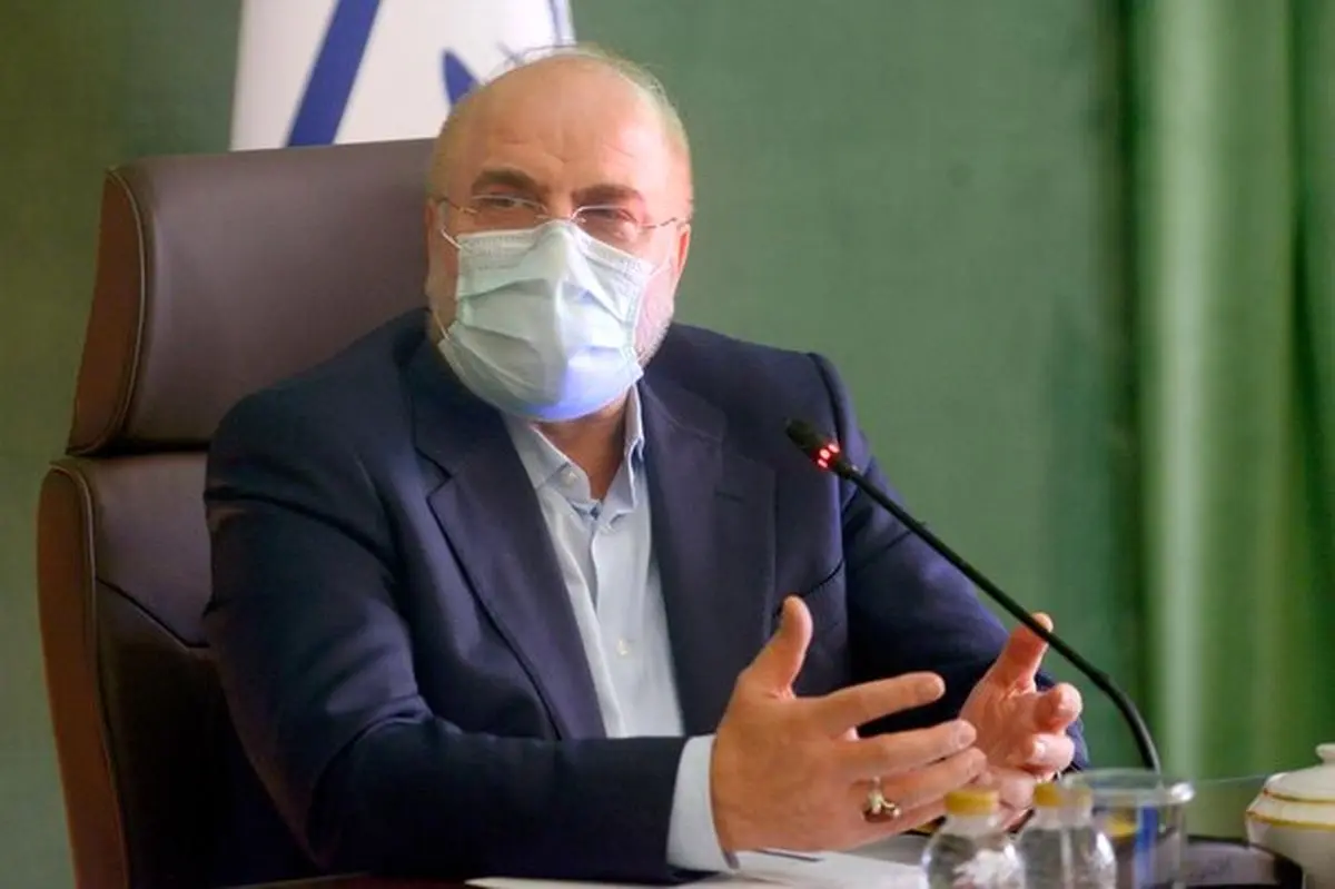 آنقدر نادان نیستیم که نرخ ارز تعیین کنیم/ تهمت ناروا به مجلس نزنید