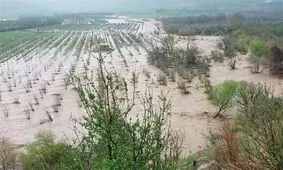 اعتباری برای جبران خسارت اراضی تخریبی ناشی از سیل به لرستان اعلام نشده است