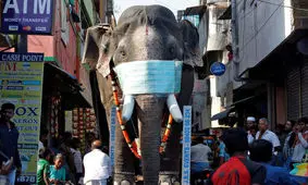 هند امسال سریع ترین رشد اقتصادی جهان را خواهد داشت