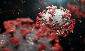 ‌نگران‌ شیوع مجدد کرونا در اردبیل هستیم