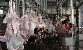 اخطار و فرصت ۵ روزه به شهردار باشت جهت رفع مشکلات زیست محیطی کشتارگاه دام