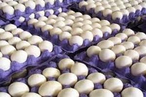 کشف بیش از ۱۴ تن تخم مرغ قاچاق در مانه و سملقان