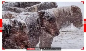 دیدنی‌ترین عکس‌های جهان در ۲۴ ساعت گذشته