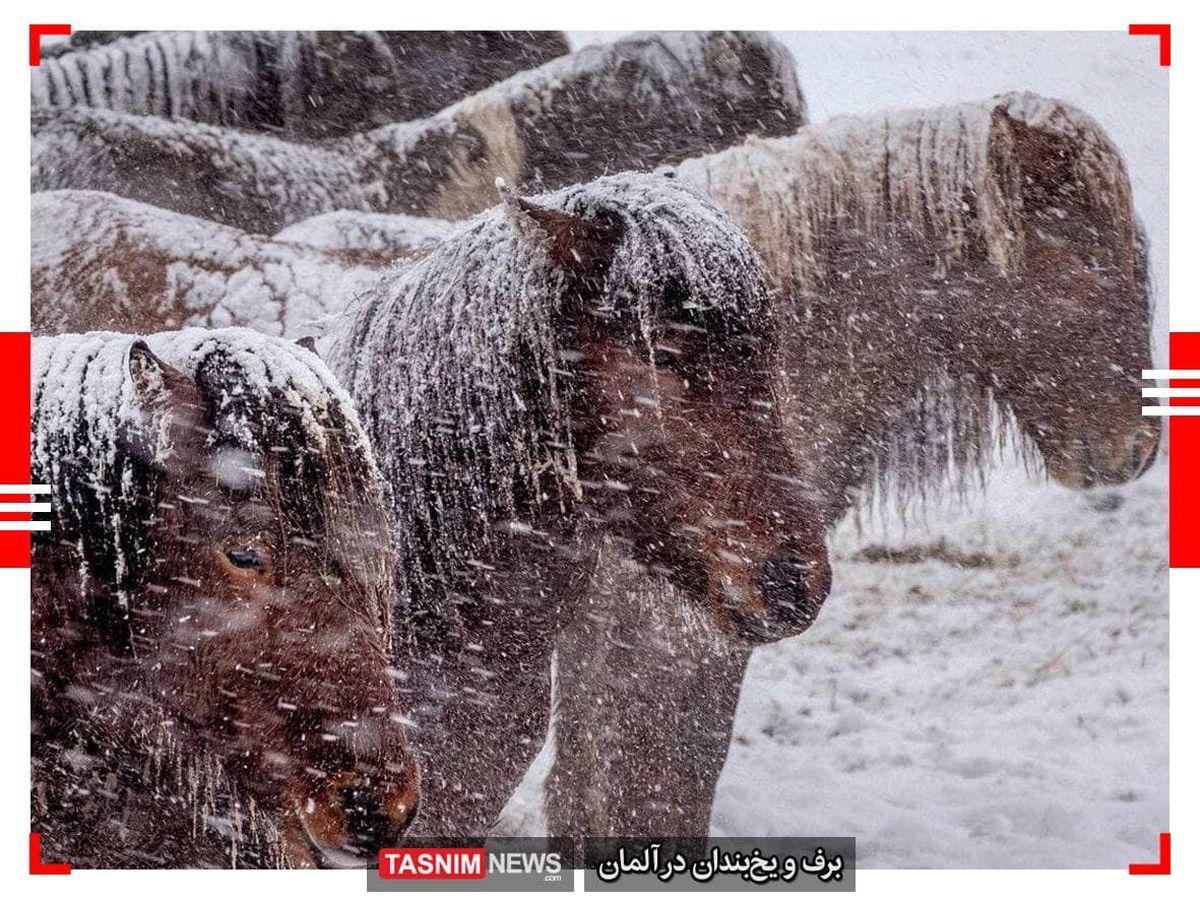 دیدنیترین عکسهای جهان در ۲۴ ساعت گذشته