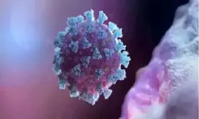 شناسایی اولین مورد ابتلا به کرونای برزیلی در ایالات متحده