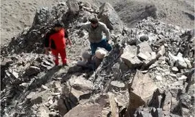 نجات دامدار ۷۰ ساله از ارتفاعات صعب العبور رودبار