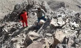 نجات دامدار ۷۰ ساله از ارتفاعات صعب العبور رودبار