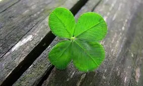 خوش شانس بودن را چگونه بیاموزیم؟