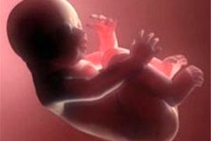 سقط جمعیت!/ آمار "سقط جنین" معادل حدود یک‎‌سوم تولدهای کل کشور است