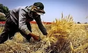 فرصت‌های اشتغال‌زایی در روستاهای اردبیل فراهم شود