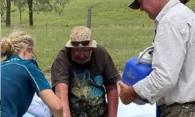 قارچ های وحشی زندگی مرد مفقود شده را نجات دادند