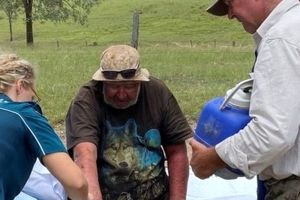 قارچ های وحشی زندگی مرد مفقود شده را نجات دادند
