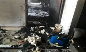 مادر جوان برای نجات فرزندش، در آتش سوخت