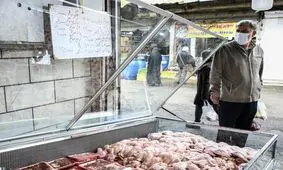 چرا مرغ گران شد؟