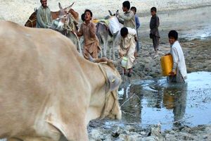 ادامه زندگی و رفع تشنگی با آب معدنی/ 68 درصد روستاهای تلنگ با تانکر آبرسانی سیار می‌شوند