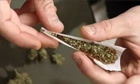 دانشجویان 14.8 درصد مصرف کنندگان گل