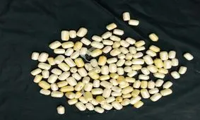 کشف ۵۰بسته مواد مخدرِ بلعیده شده از ۲نفر