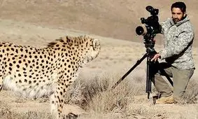 حکم جالب درباره متخلف محیط زیست/ شکارچی متخلف محکوم به ساخت مستند حیات وحش شد