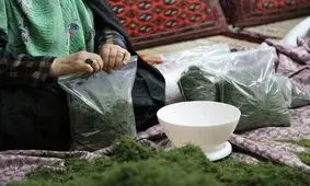 صدور ۴۶ فقره مجوز مشاغل خانگی در شهرکرد