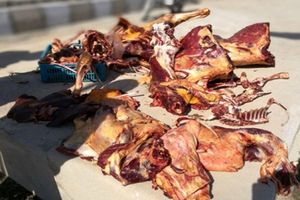 کشف 450 کیلوگرم گوشت الاغ از یک قصابی