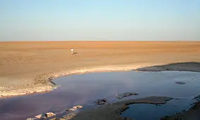 شمارش معکوس نفس‌های تالاب گاوخونی