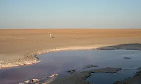 شمارش معکوس نفس‌های تالاب گاوخونی