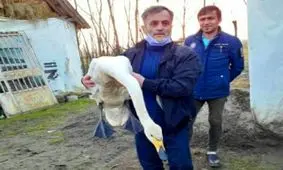 نجات قوی مهاجر به دست "الیاس" در گیلان