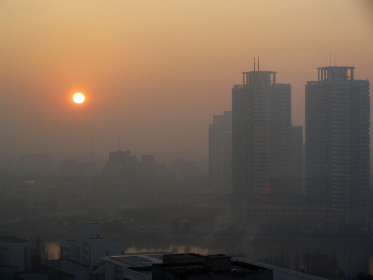 آلودگی هوا به هیچ موجود زنده‌ای رحم نمی‌کند
