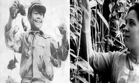 چند اتفاق عجیب که آدم‌های زودباور رقم زدند