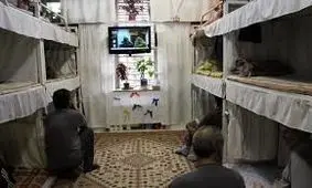 ۳۱ مددجوی زندان منوجان آزاد شدند