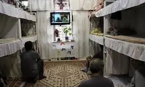 ۳۱ مددجوی زندان منوجان آزاد شدند
