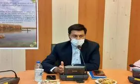 معرفی ظرفیت های شادگان مغفول مانده است/شادگان ظرفیتی به عظمت تالابش دارد