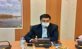 معرفی ظرفیت های شادگان مغفول مانده است/شادگان ظرفیتی به عظمت تالابش دارد