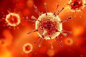 بررسی چگونگی بومی شدن کروناویروس / کرونا ممکن است تبدیل به یک سرماخوردگی معمولی شود؟