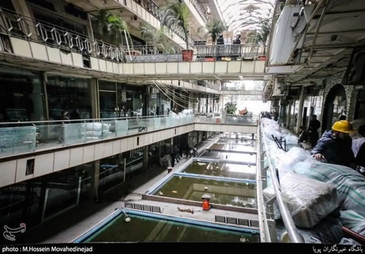 اولتیماتیوم به کسبه پلاسکو/فقط تا ۲۰ تیر برای اخذ وام ۳۰۰ میلیونی مهلت دارید+ سند