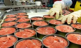 کنسرو تن ماهی ۴۰ هزار تومان شد