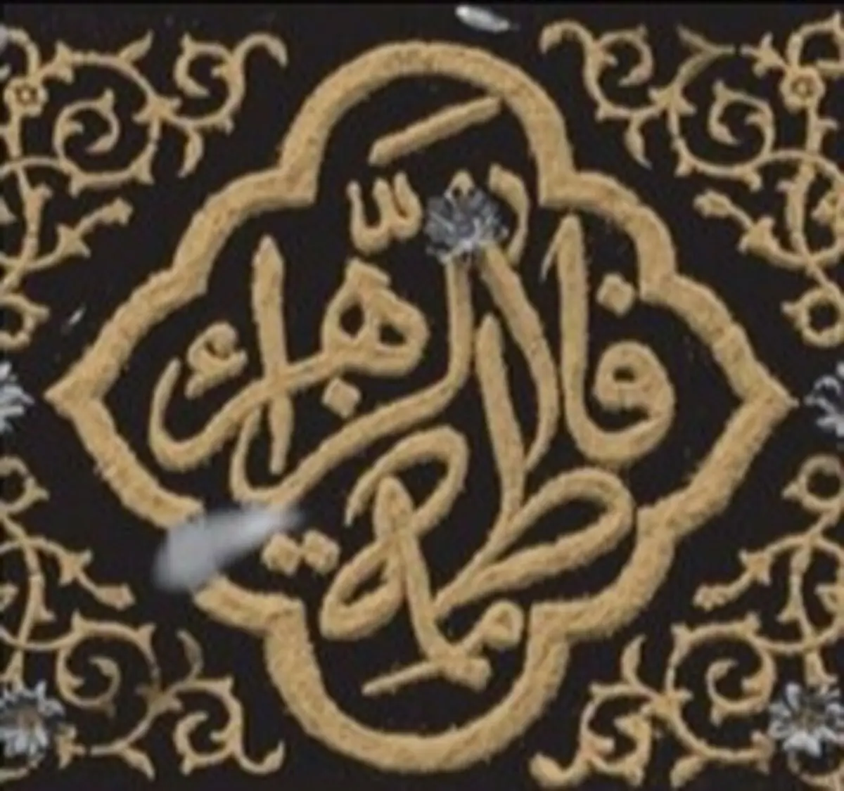 یک رهبر به تمام معنا/ عکس
